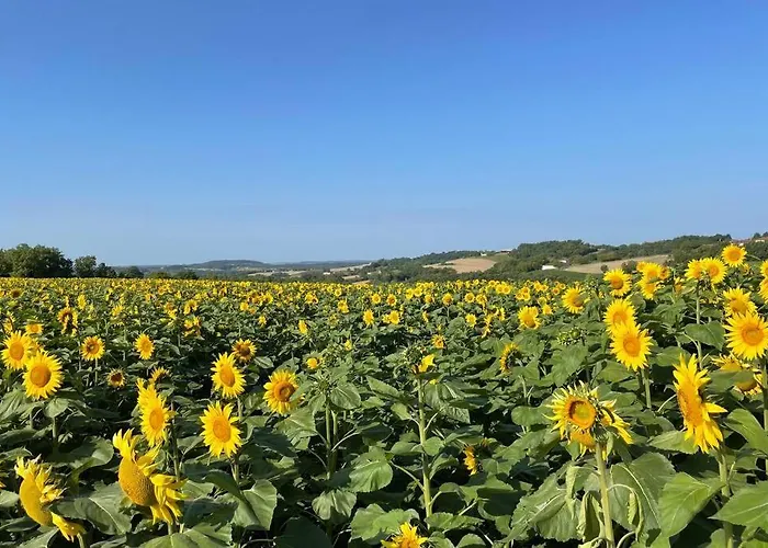 Gite Jeanroy A Cheerful 2 Bedroom Rural Gite
