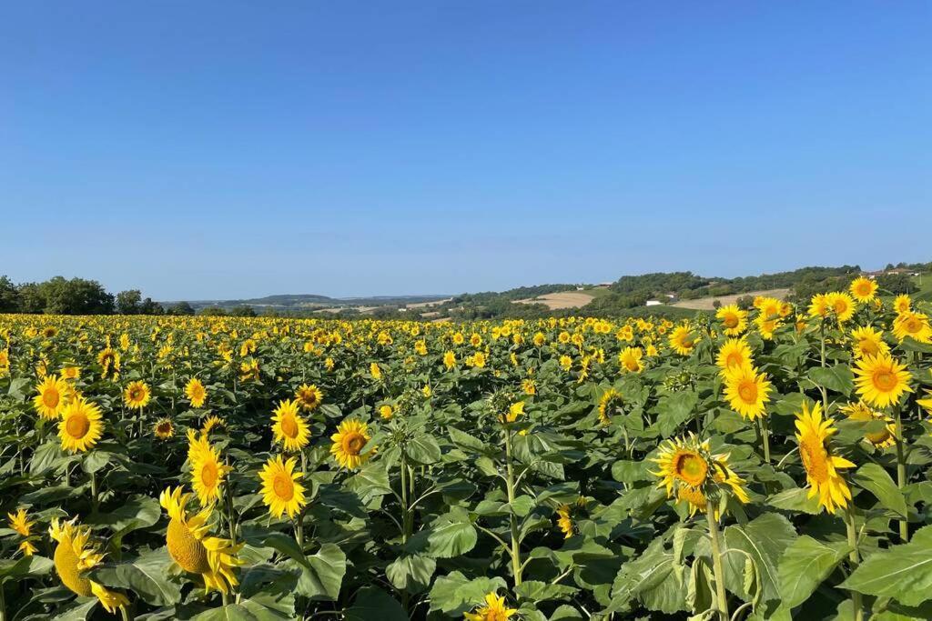 Jeanroy A Cheerful 2 Bedroom Rural Hébergement de vacances